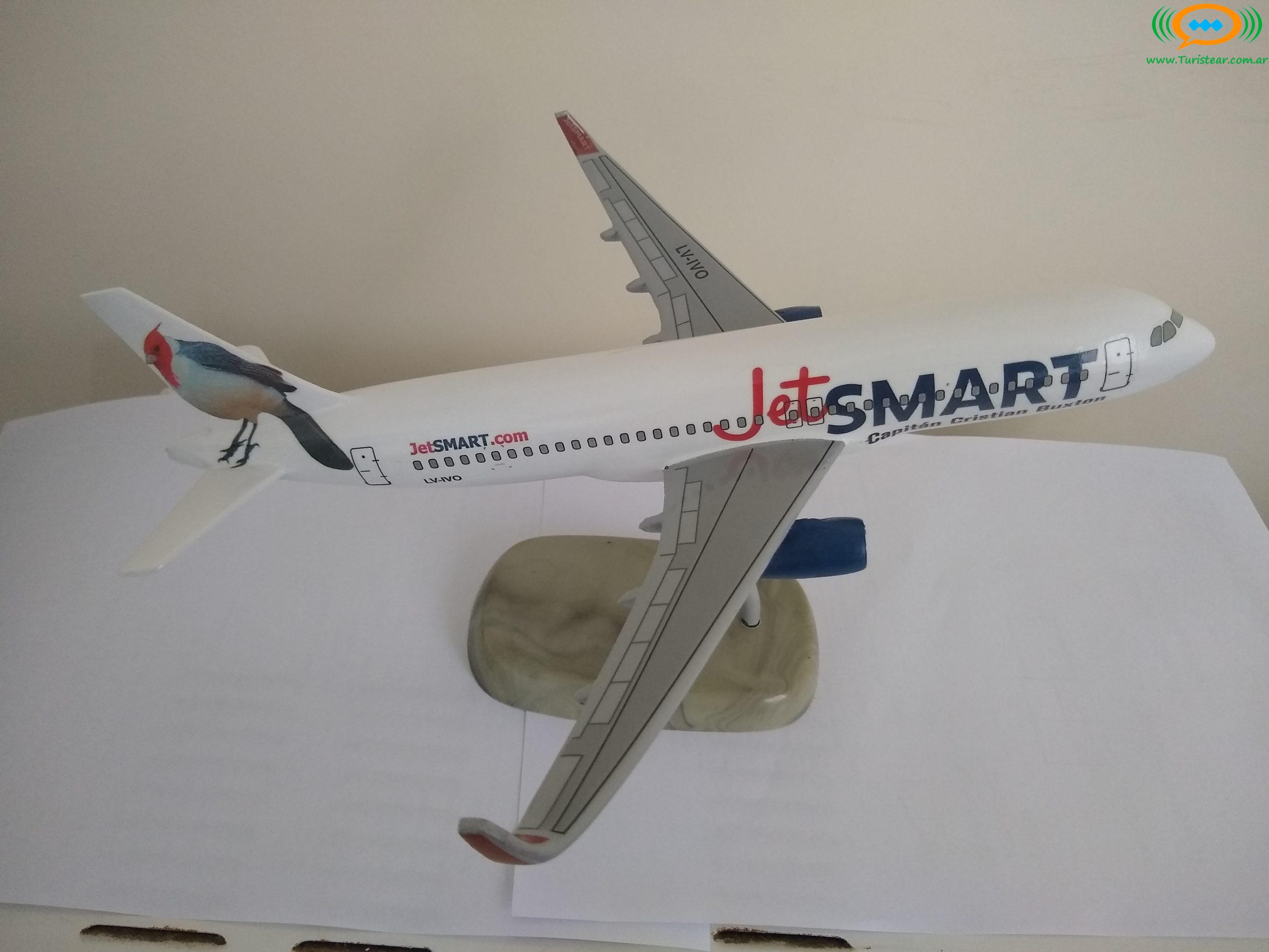 Maqueta Avion De Resina 737 Fuerza Aerea Argentina